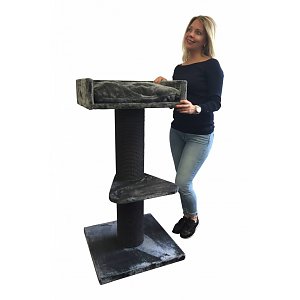 arbre a chat maine coon lounge